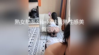 熟女热系列1-网袜骚熟性感美臀后入