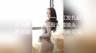 《魔手外购极品CP》景区女公厕完美定点角度全景偸拍，先脸后逼各种气质小姐姐方便，眼镜美女高高撅起翘臀双洞一清二楚 (1)