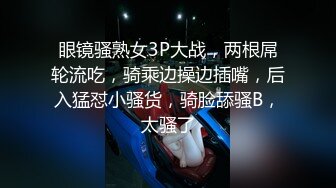 美女如云 车模外围三线全是高质量名媛 推特金主大神【北王】私拍，操控玩肏各种露脸女神