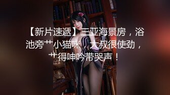 麻豆传媒-菜鸟特务 入侵者的反姦凌辱-袁子仪