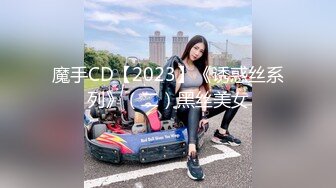 魔手CD【2023】《诱惑丝系列》（二）黑丝美女