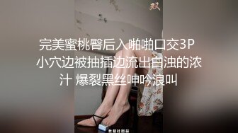 喜欢打桩的女骑士