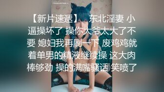 豪乳女神『Diary』淫乱实录 豪乳女友幻身狐尾女仆用蜜穴尽心伺候单男