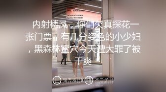 国产精品一V二V在线观看