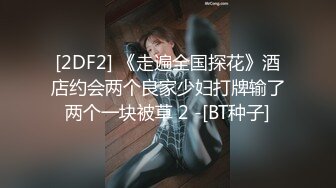 [2DF2] 红玫瑰黑旗袍 美乳肌肤 振动器按摩嫩穴 搔首弄姿 浪叫高潮[BT种子]