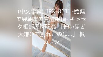 (中文字幕) [adn-421] 愛人女上司とセックスをする為だけの相部屋出張 夏目彩春