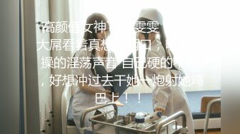 【AI明星换脸与AI合成声】 AI-特殊综艺节目之 乘风破浪的姐姐 特别篇之乘风破浪的母狗！