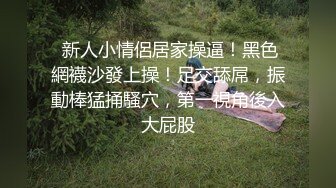 皇家华人 KM-007 上司的诱惑- 叶宸欣(张欣妍梁云菲)