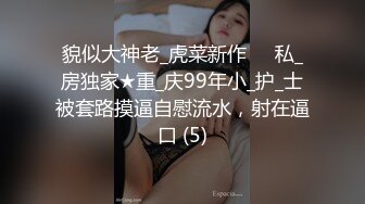 后入大奶女神，男用延时，女用都有