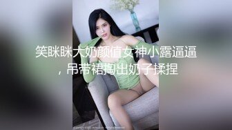 MD-0288操爆骚话女仆