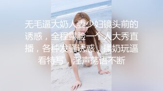 【最美淫乱人妻】极品美乳淫妻『嫂子爱露出』年终性爱甄选 酒店约炮单男各种操 跪爬深喉 后入内射 高清1080P原版 (13)