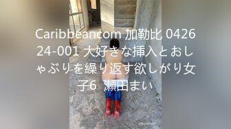 Caribbeancom 加勒比 042624-001 大好きな挿入とおしゃぶりを繰り返す欲しがり女子6  瀬田まい