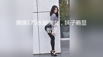 流星初遇我的室友.气质甜美没想到床上这麽骚1-Apple