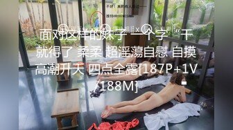 国产AV 星空无限传媒 XKXB8025 赘婿2 歪嘴龙王逆袭版 苏清歌