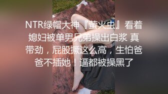 白白嫩嫩的轻熟人妻车震