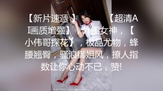 【自制字幕系列】第27弹 探花剪辑版，长达个把小时的探花剪辑成两分钟左右的剧情(中文字幕版)！