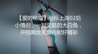 偷情95大奶黑丝小少妇