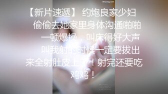 土豪定制福利，不胖不瘦极品身材白皙女神【一颗跳跳糖】情趣裸舞，搔首弄姿撸点满满 (3)