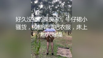 车震 销魂叫声 淫语骚话不断的!