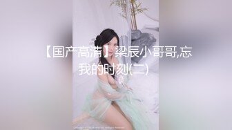 少妇折磨大鸡巴第一部