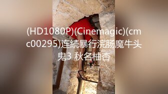 到了30岁还是处男,似乎会变成魔法师 10