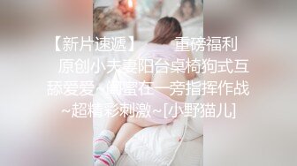    烈焰红唇花臂纹身美乳小姐姐  脱掉衣服扭动细腰  坐在椅子上振动棒插穴 跳蛋震动阴蒂  双