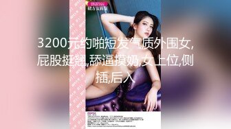 20位退役巨乳女优