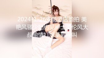 起點傳媒 性視界傳媒 XSJ119 JK雙馬尾甜美系女友 粉色情人