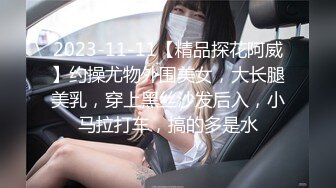 2023-11-11【精品探花阿威】约操尤物外围美女，大长腿美乳，穿上黑丝沙发后入，小马拉打车，搞的多是水