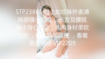 STP23865 腿上蛇纹身外表清纯很骚小姐姐 ，长发及腰脱掉小背心扭动，肉肉身材柔软大奶 ，掰穴特写揉搓 ，看着很是诱惑 VIP2209