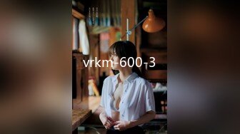 vrkm-600-3